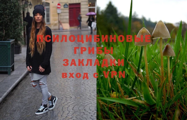 гидра Щёлкино