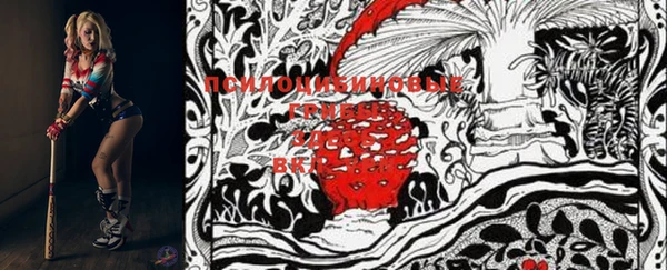 гидра Щёлкино